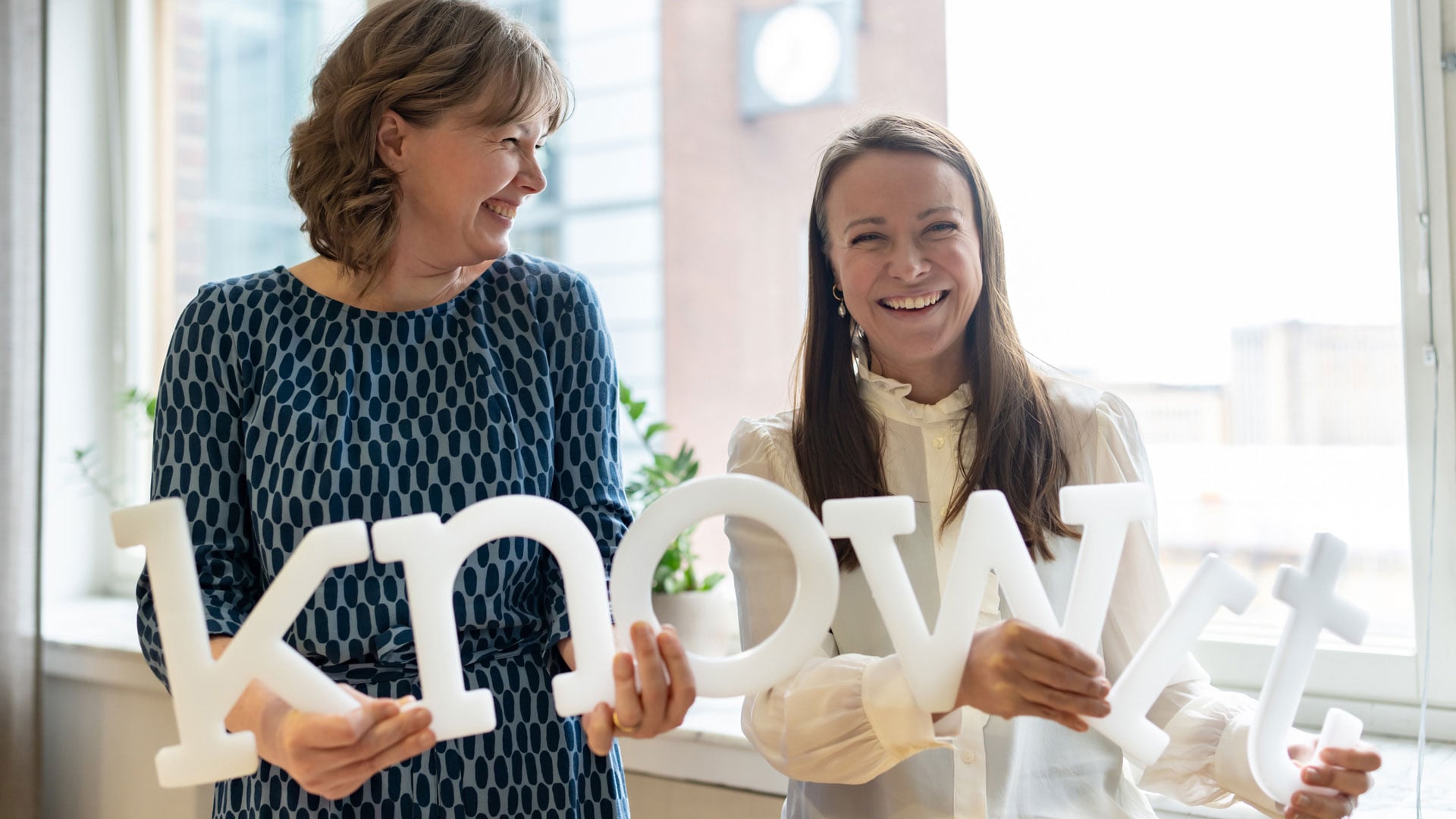 Career at Knowit